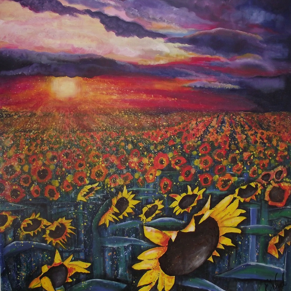 Sun on Sunflowers